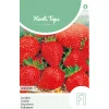 Horti Tops Moestuin>Aardbei Grandian zaad