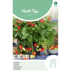 Horti Tops Moestuin>Aardbeien Ruby Ann hangaardbei
