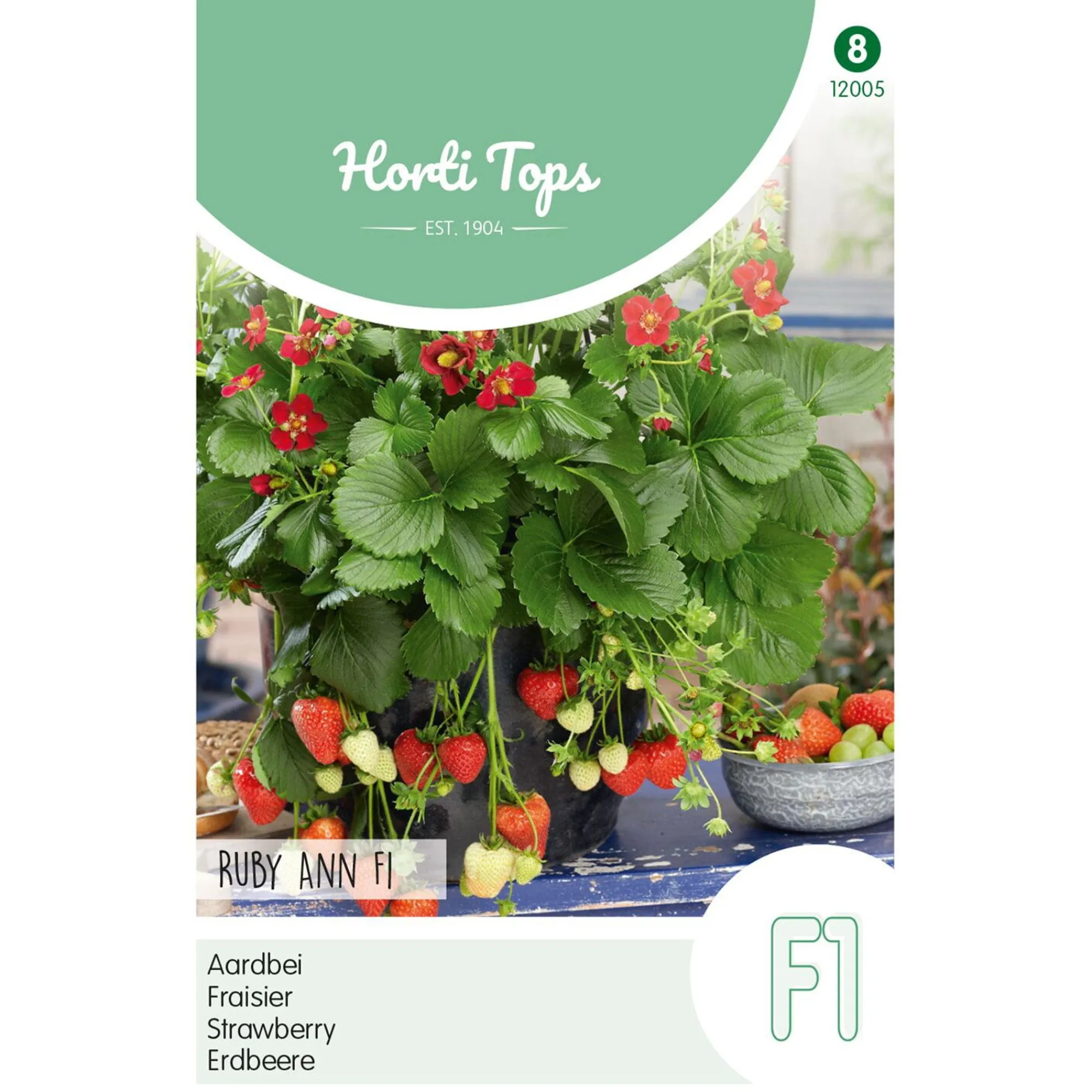 Horti Tops Moestuin>Aardbeien Ruby Ann hangaardbei