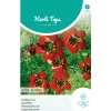Horti Tops Moestuin>Adonis (Kooltje vuur) roodbloeiend, zaad