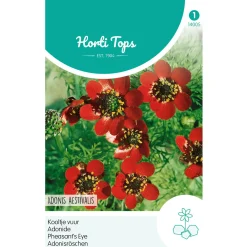 Horti Tops Moestuin>Adonis (Kooltje vuur) roodbloeiend, zaad