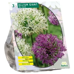 Baltus Bodemverbeteraars>Allium Giant mix per 3