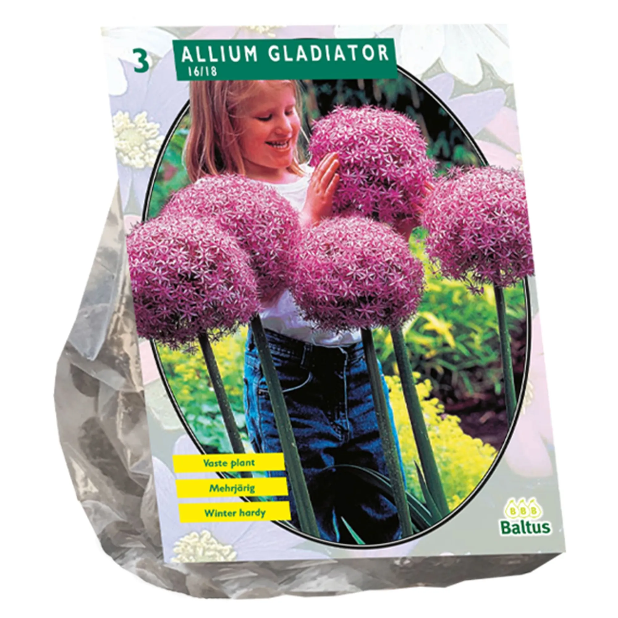 Baltus Bodemverbeteraars>Allium Gladiator His Excellence per 3