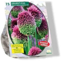 Baltus Bodemverbeteraars>Allium Sphaerocephalon per 75