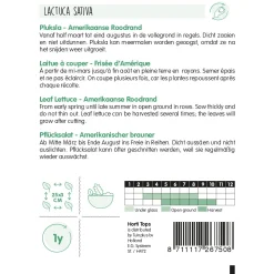 Horti Tops Moestuin>Amerikaanse roodrand pluksla