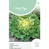 Horti Tops Moestuin>Andijvie Nuance