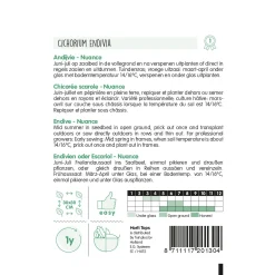 Horti Tops Moestuin>Andijvie Nuance