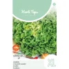 Horti Tops Moestuin>Andijvie nummer vijf