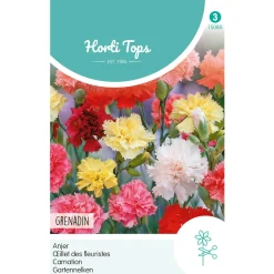 Horti Tops Moestuin>Anjer Grenadin mix