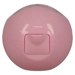 Lunch Buddies Opbergen|Koken & Tafelen>Appeldoos unicorn flower