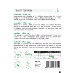 Horti Tops Moestuin>Aubergine white Eggs