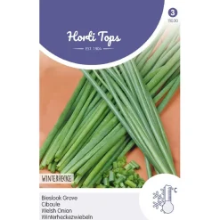 Horti Tops Moestuin>Bieslook grove, zaad