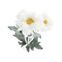 Decoris Kunstplanten En Kunstbloemen><noscript><img width=