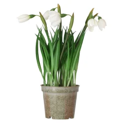 Mica Decorations Kunstplanten En Kunstbloemen>Bloem sneeuwklokje 24 cm