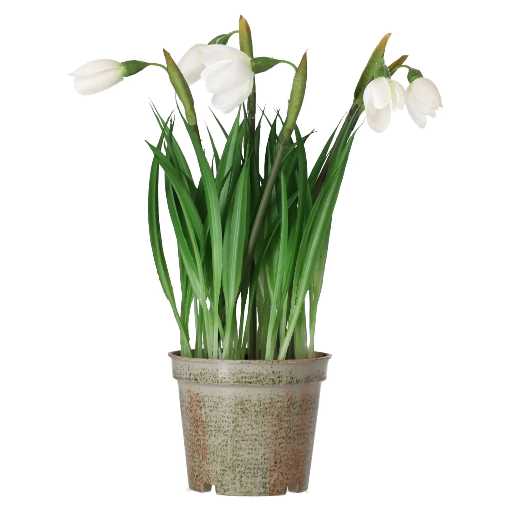 Mica Decorations Kunstplanten En Kunstbloemen>Bloem sneeuwklokje 24 cm