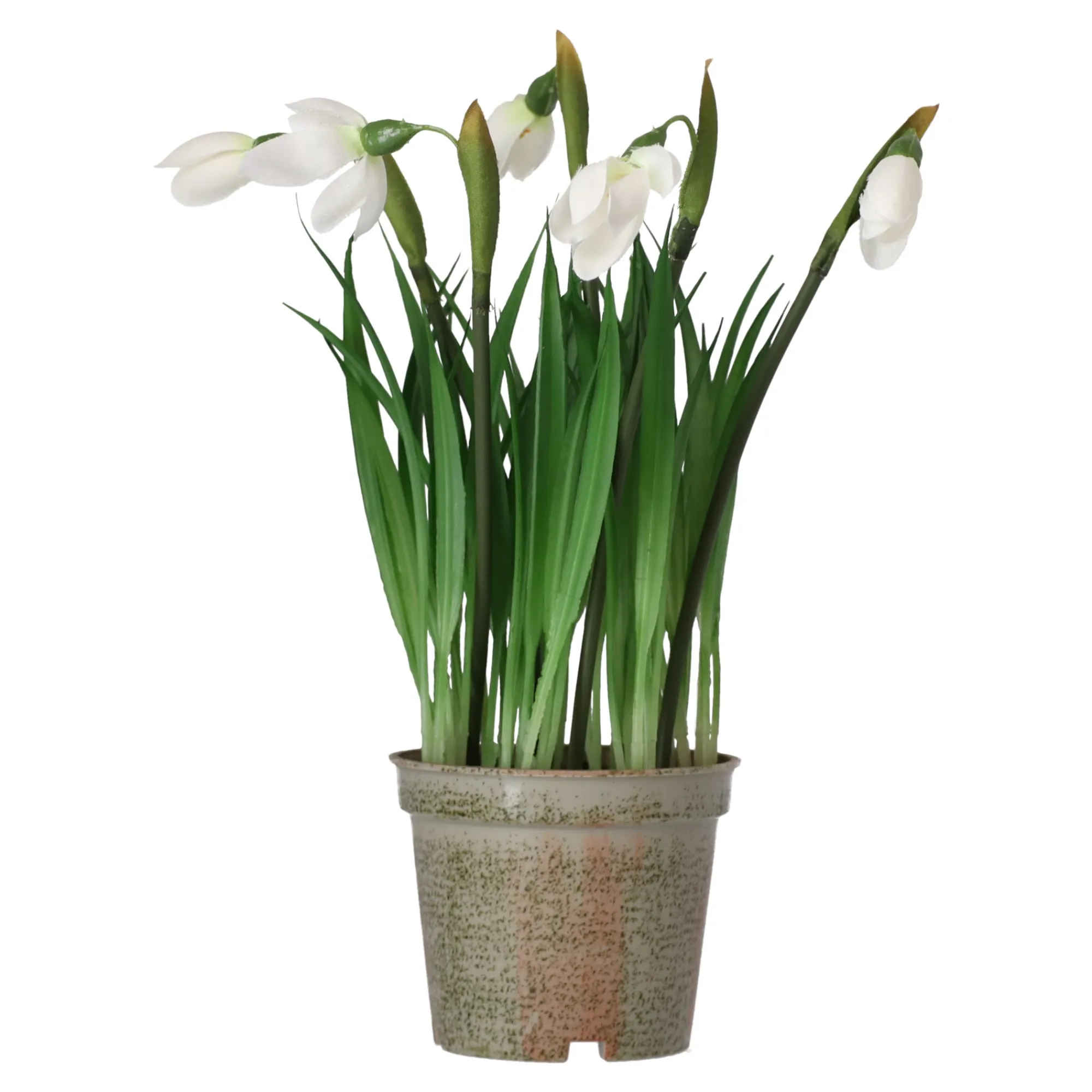 Mica Decorations Kunstplanten En Kunstbloemen>Bloem sneeuwklokje 24 cm