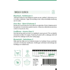 Horti Tops Moestuin>Bloemkool herfstreuzen 2
