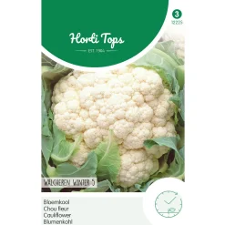Horti Tops Moestuin>Bloemkool walcheren winter 5