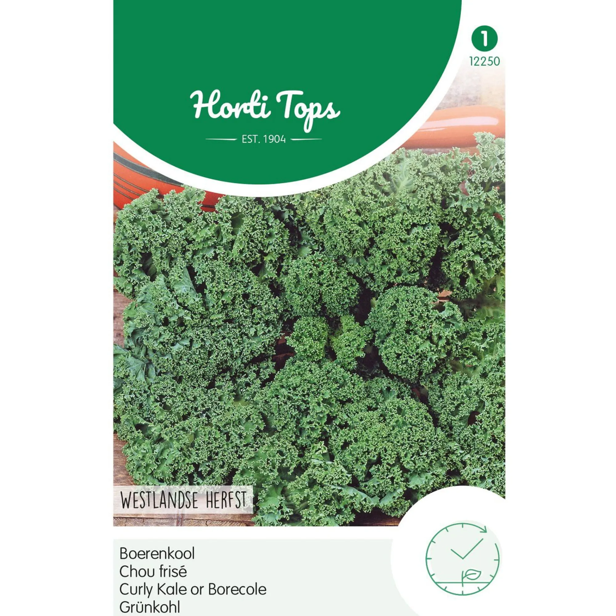 Horti Tops Moestuin>Boerenkool Westlands Herfst laat type