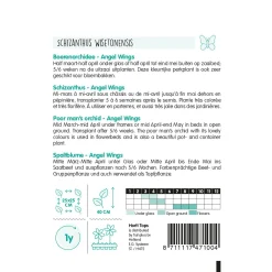 Horti Tops Moestuin>Boerenochidee Angel Wings