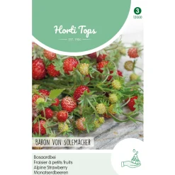 Horti Tops Moestuin>Bosaardbei Baron von Solemacher zaad