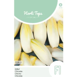 Horti Tops Moestuin>Brussels witlof zoom