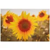 O'malley Tuindecoratie>Buitenschilderij 90 x 60 cm zonnebloem