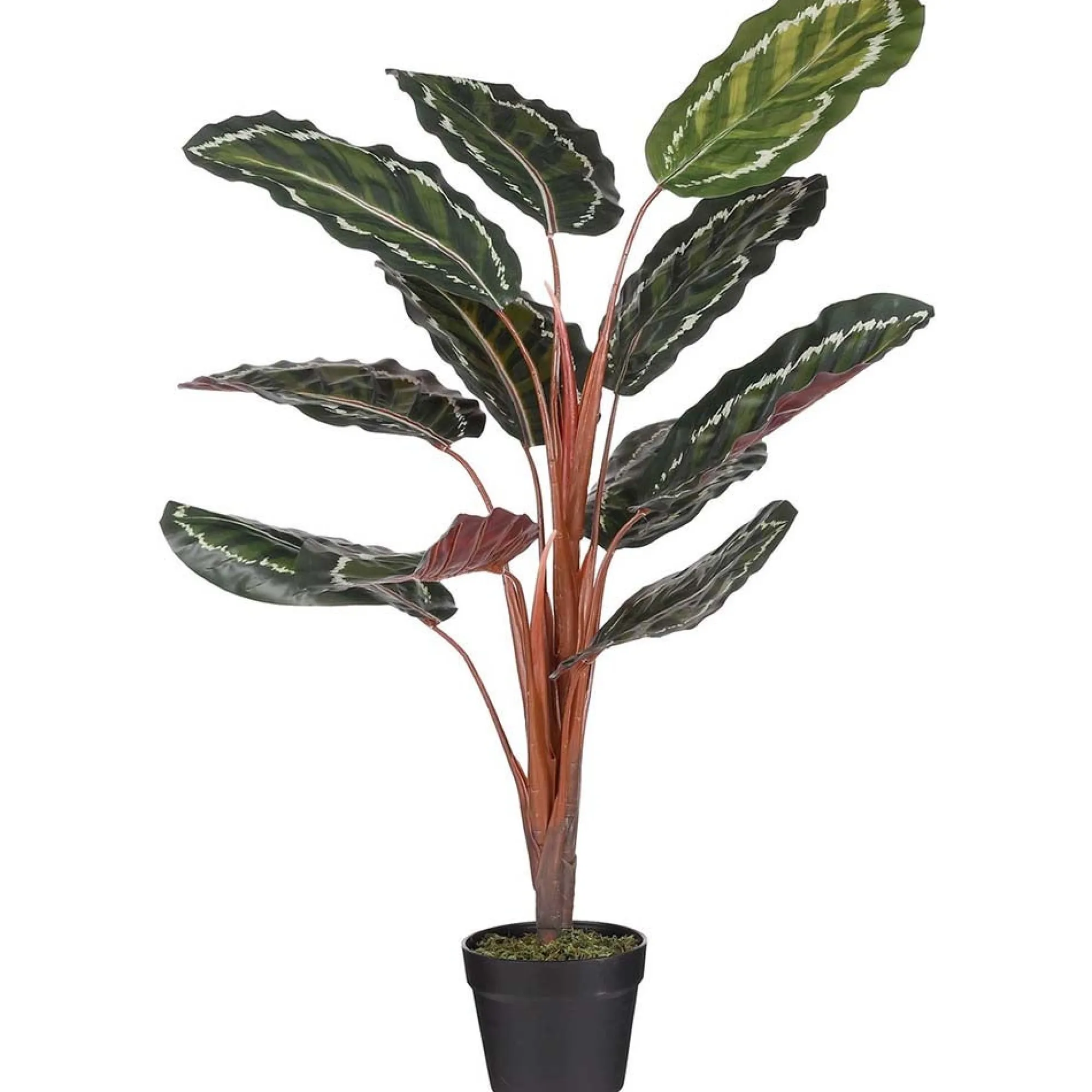 Mica Decorations Kunstplanten En Kunstbloemen>Calathea roseopicta in pot 90 cm