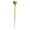O'malley Kunstplanten En Kunstbloemen>Calla enkel 67 cm groen
