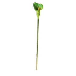 O'malley Kunstplanten En Kunstbloemen>Calla enkel 67 cm groen