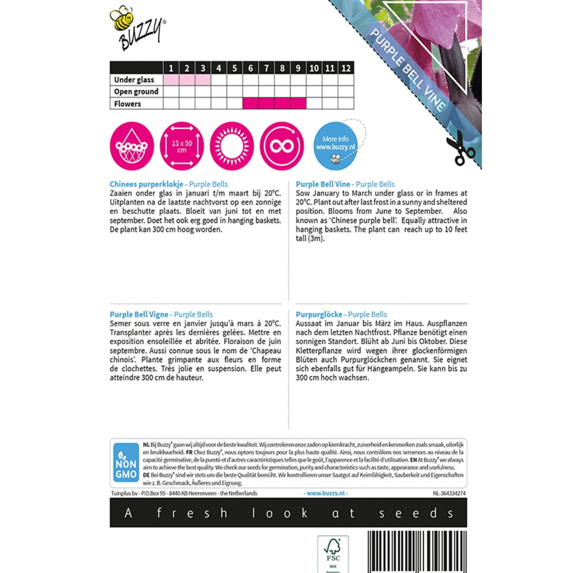 Buzzy Moestuin>Chinees Purperklokje