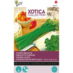 Buzzy Moestuin>Chinese Bieslook