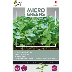 Buzzy Moestuin>Citroenbasilicum Microgreens Zaden