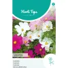 Horti Tops Moestuin>Cosmos Sensation Mix