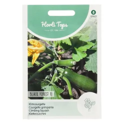Horti Tops Moestuin>Courgette Black Forest klimmend