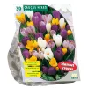 Baltus Bodemverbeteraars>Crocus Grootbloemig mix per 30