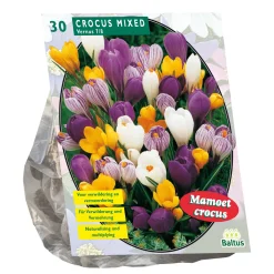 Baltus Bodemverbeteraars>Crocus Grootbloemig mix per 30