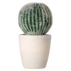 O'malley Kunstplanten En Kunstbloemen>Decoratieve cactusplant 19 cm diverse assorti