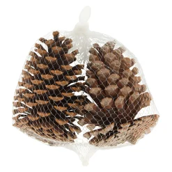 Natural Collections Kerstdecoratie>Dennenappel natural 13 x 13 x 8 cm 2st