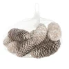 Natural Collections Kerstdecoratie>Dennenappel snowy white 150g