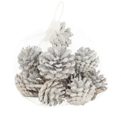 Natural Collections Kerstdecoratie>Dennenappel snowy white 200g