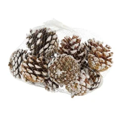 Natural Collections Kerstdecoratie>Dennenappel whitewash 200g