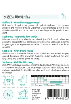 Horti Tops Moestuin>Duifkruid mix