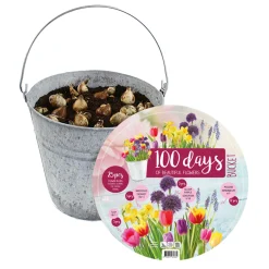 Baltus Bodemverbeteraars>Emmer met bloembollenmix 25 stuks