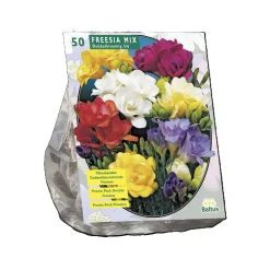 Baltus Bodemverbeteraars>Freesia Mix per 50 dubbel