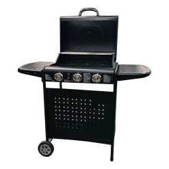 Gasbarbecues>Gasbarbecue Reno