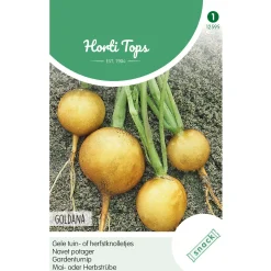 Horti Tops Moestuin>Gele tuin- of herfstknolletjes Goldana zaad