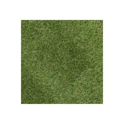 Bel Garden Grondbedekking>Grastapijt Carrow Road 1x2M