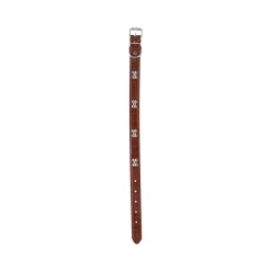 Friendly Pet Hondenriem>Halsband hond 50cm assorti