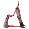 Friendly Pet Hondentuig>Harnas A-vorm reflectie